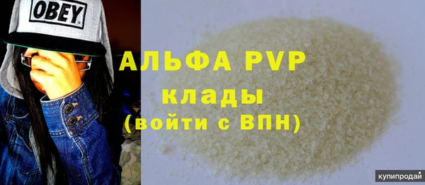 прущие грибы Осинники