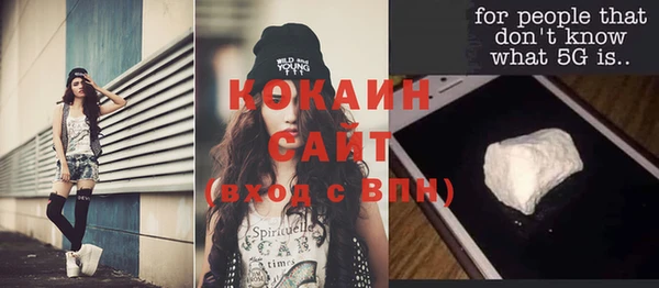 индика Осташков