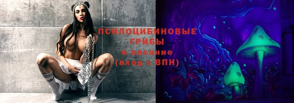 прущие грибы Осинники
