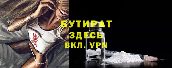 индика Осташков