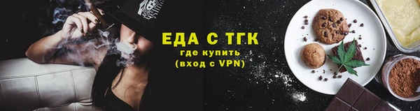 индика Осташков