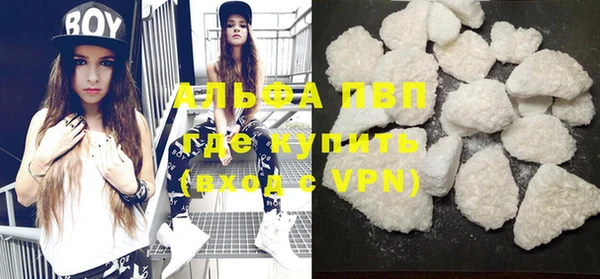 индика Осташков