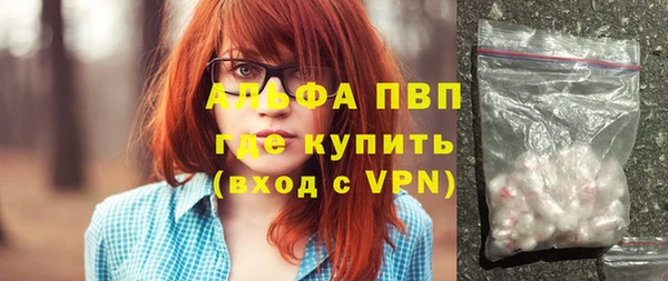 прущие грибы Осинники
