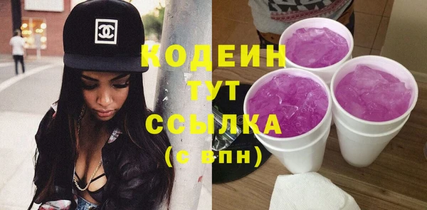 индика Осташков