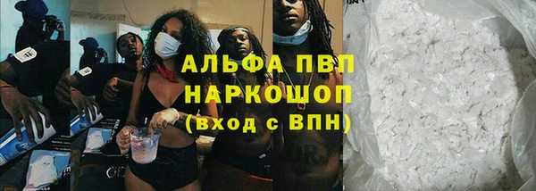 индика Осташков