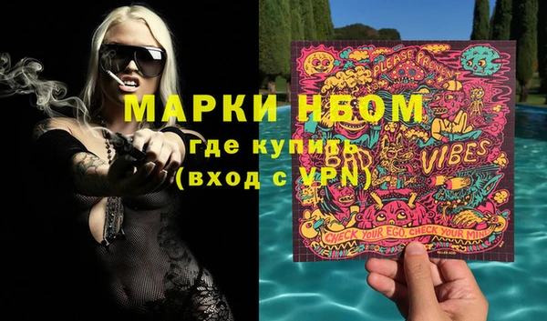 индика Осташков