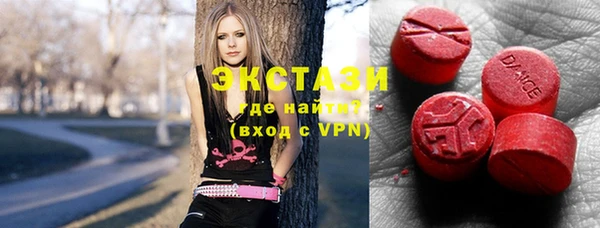 индика Осташков