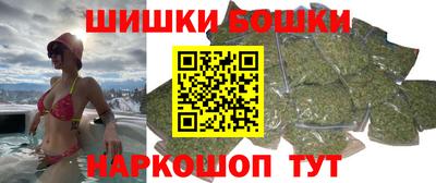 МДПВ Дубна