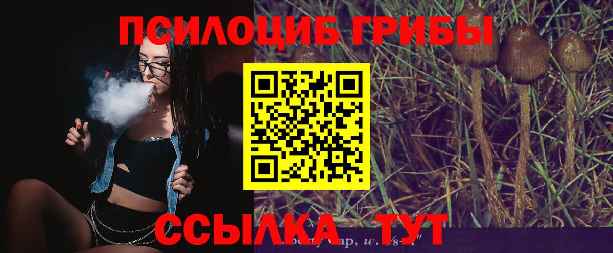 Псилоцибиновые грибы Psilocybine cubensis  Псилоцибиновые грибы GOLDEN TEACHER  Вход с VPN  Семилуки 