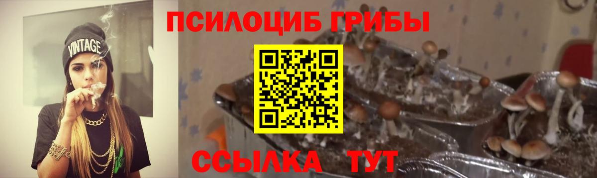 Галлюциногенные грибы GOLDEN TEACHER Семилуки