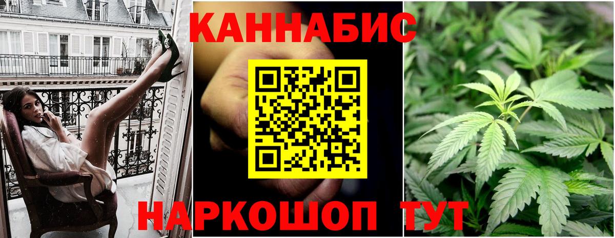 Конопля гибрид  Семилуки  Бошки Шишки OG Kush 